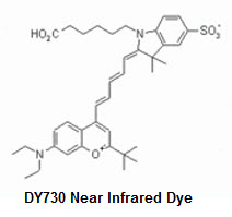 Bio-Synthesis Inc. Oligo Structure